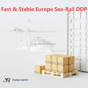 China to Europe Supplement Logistics DDP Shipping Agent