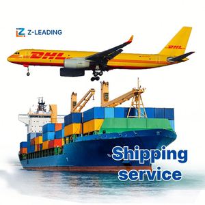 Customized LCL Express Logistics Solutions DHL Freight Shipping Pioneer Logistics Forwarding Agent for France Trucking Included