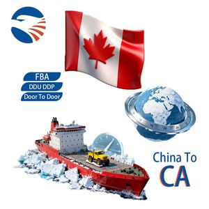 Cargo Freight Shipping Service Air Shipping