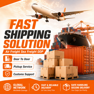 Vehicle Roll On Roll DDP Sea Freight Forwarder Shipping Agent