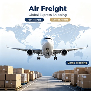 Professional Air Freight Service to USA UK EU Canada Fast Transit Door to Airport