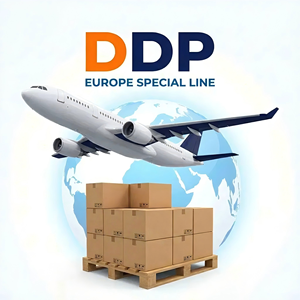 Fast Freight Forwarder DDP Airsea Freight To EU Door To Door Rate